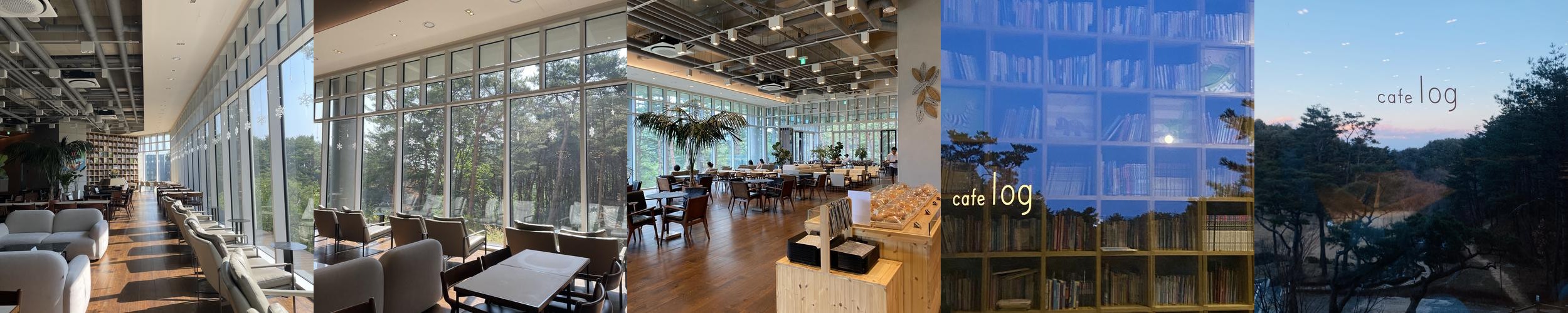 양양 카페 추천 베스트 리스트 TOP 10 양양 카페 추천 베스트 리스트 TOP 10