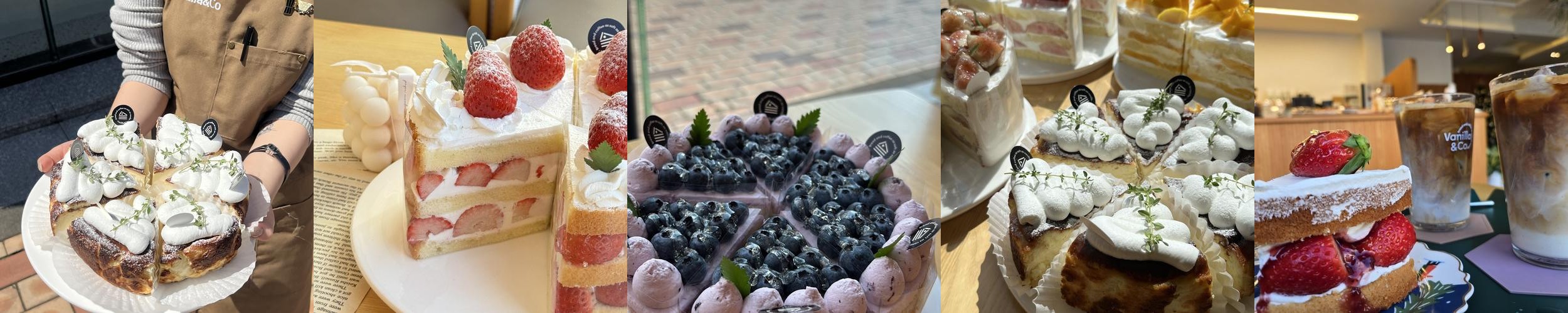 순천 신상카페 베스트 추천 리스트 TOP 10