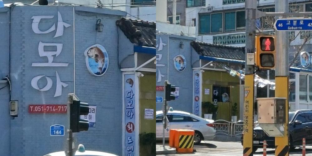 부산 사직동 횟집 베스트 추천 리스트 TOP 10 부산 사직동 횟집 베스트 추천 리스트 TOP 10