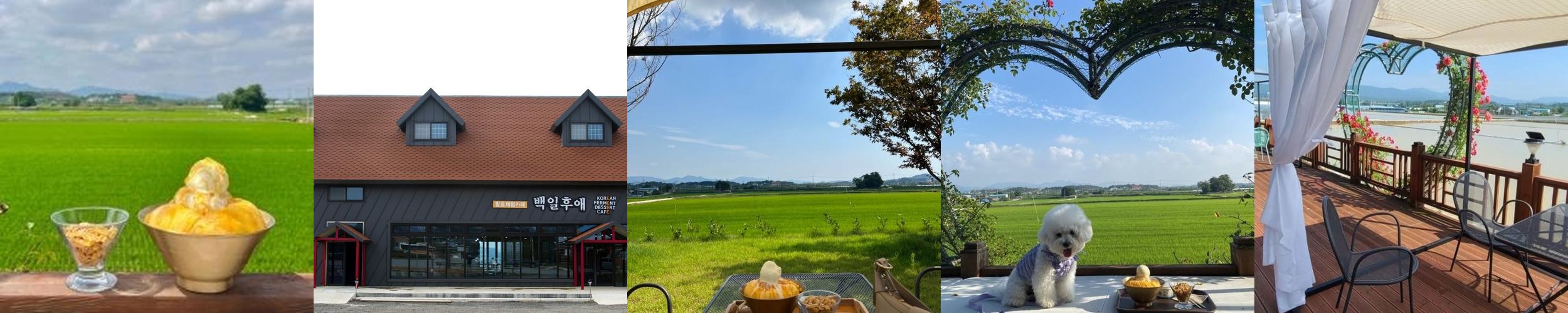 고창 카페 베스트 추천 리스트 TOP 10