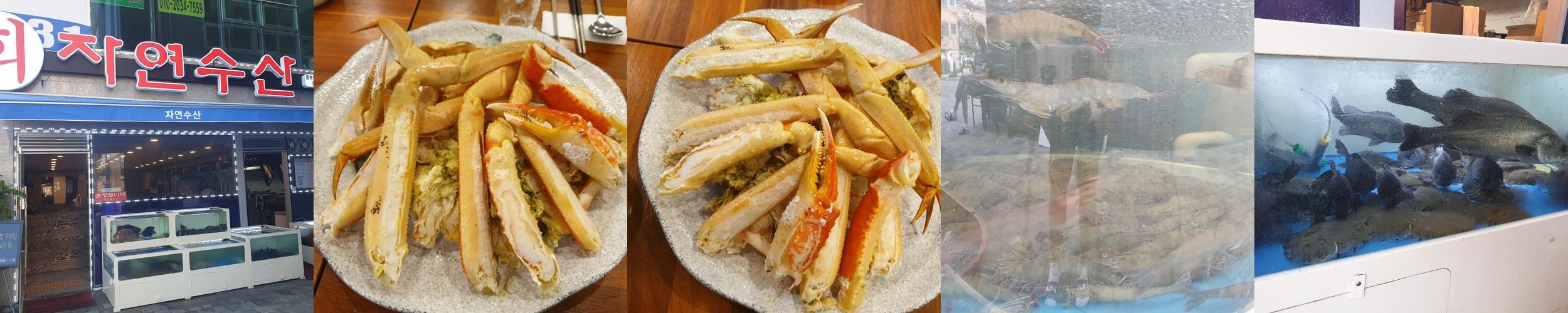 향남 횟집 베스트 추천 리스트 TOP 10