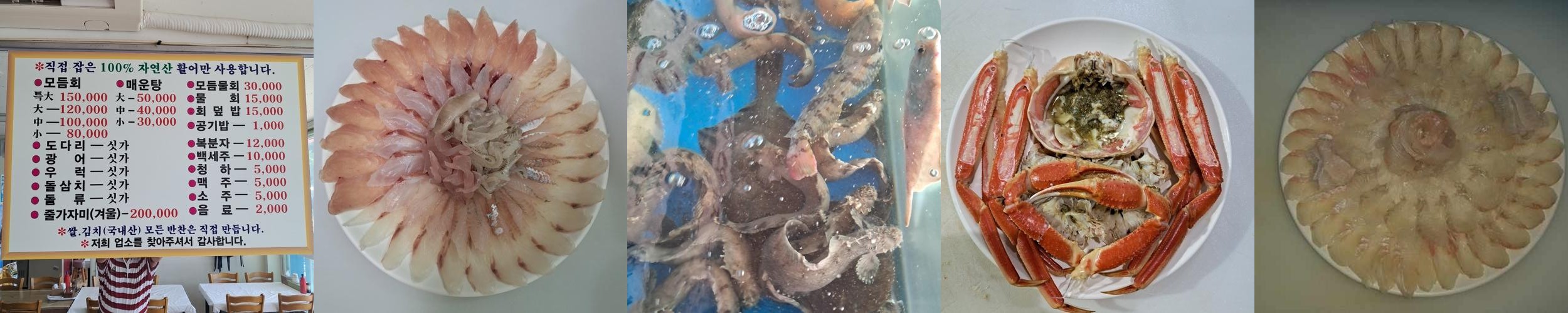 삼척 근덕 맛집 베스트 추천 리스트 TOP 10