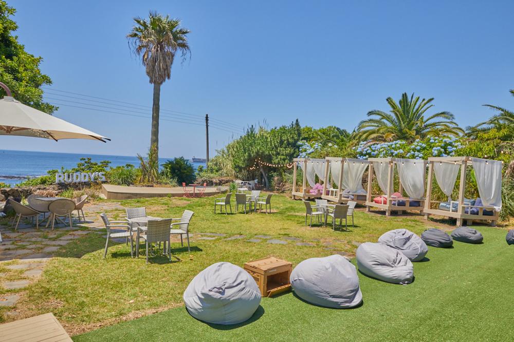 제주도 서귀포 애견동반 오션뷰 감성 카페 추천 리스트 TOP 5