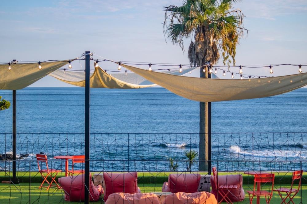 제주도 서귀포 애견동반 오션뷰 감성 카페 추천 리스트 TOP 5