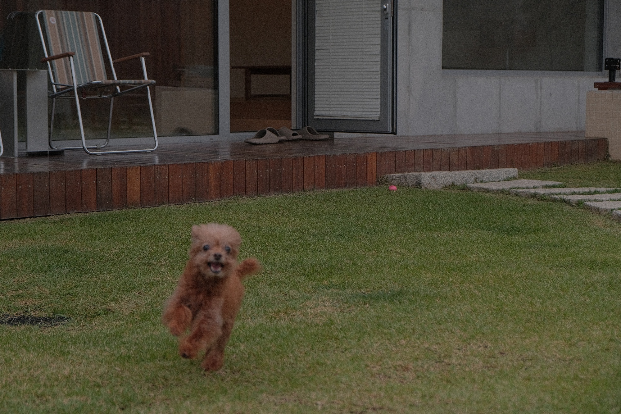 독채 감성 펜션 빌라반우｜춘천 애견동반 여행 숙소 추천