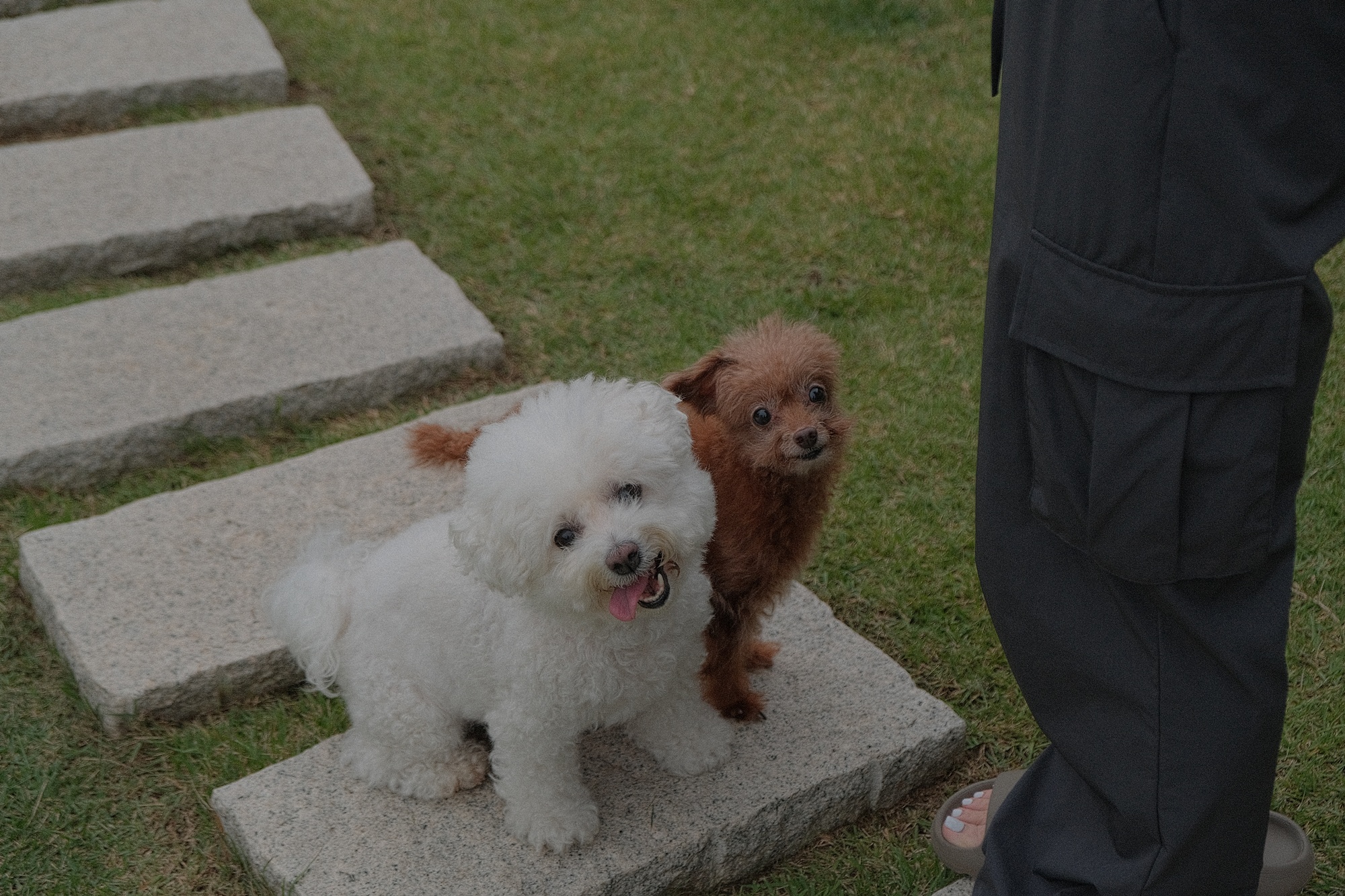 독채 감성 펜션 빌라반우｜춘천 애견동반 여행 숙소 추천