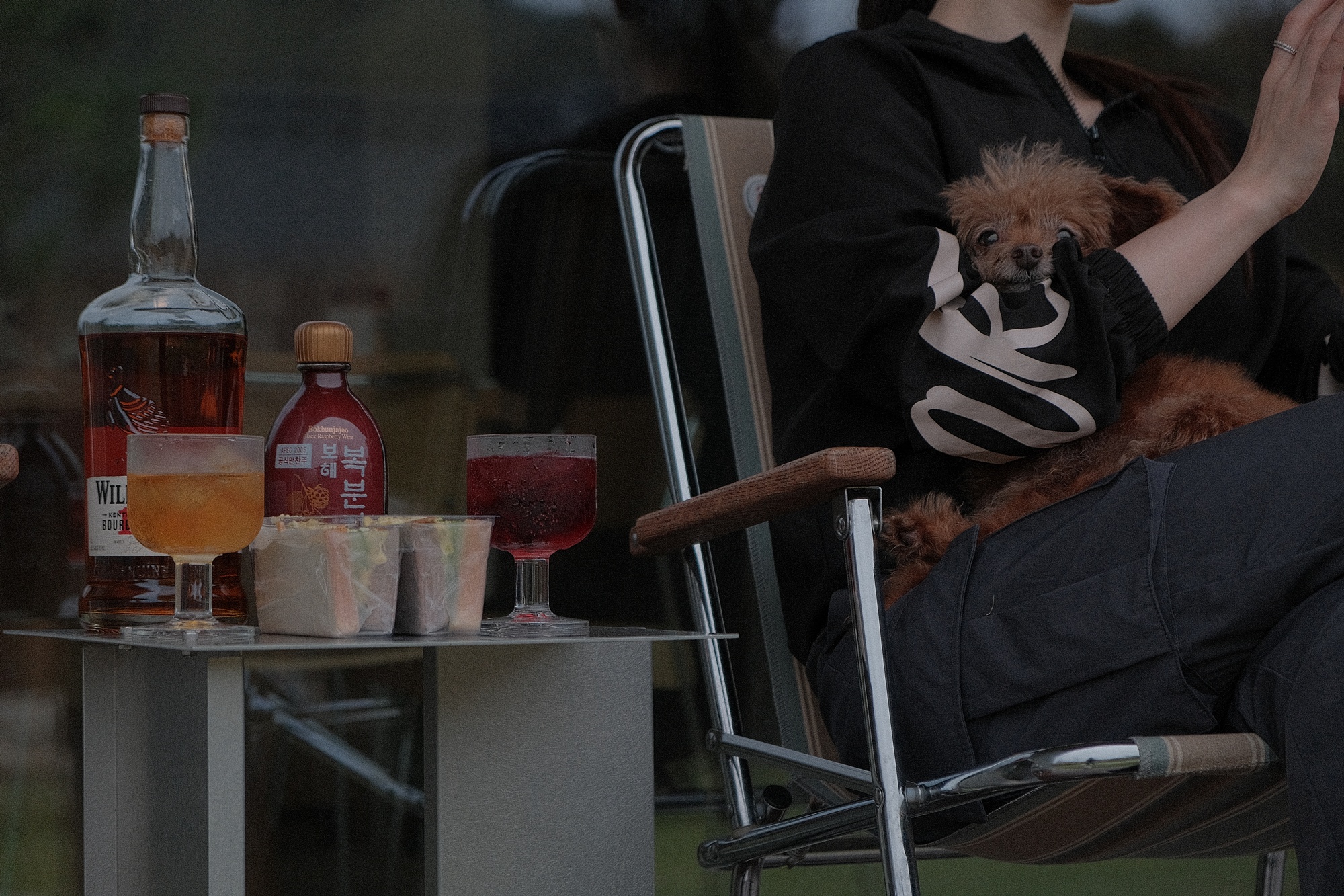 독채 감성 펜션 빌라반우｜춘천 애견동반 여행 숙소 추천