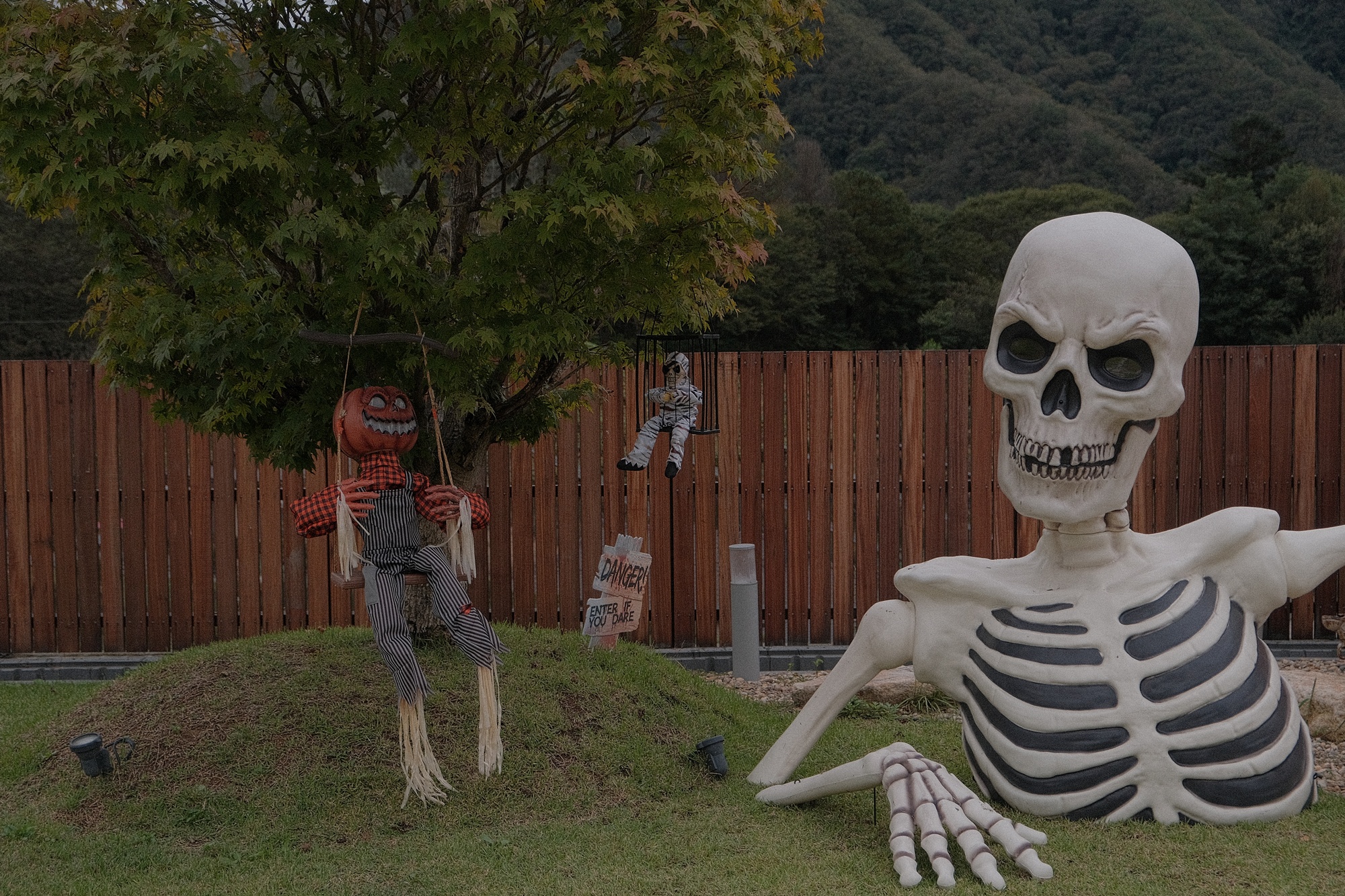 독채 감성 펜션 빌라반우｜춘천 애견동반 여행 숙소 추천