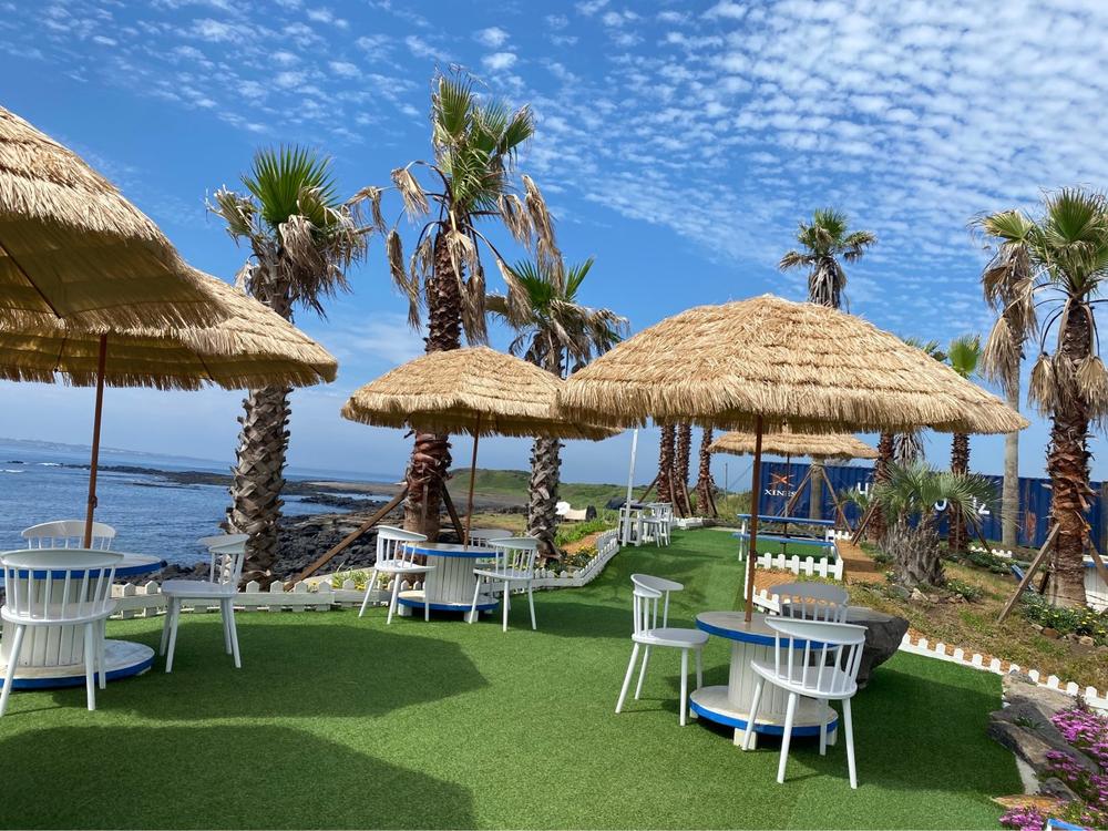 제주도 서귀포 애견동반 오션뷰 감성 카페 추천 리스트 TOP 5