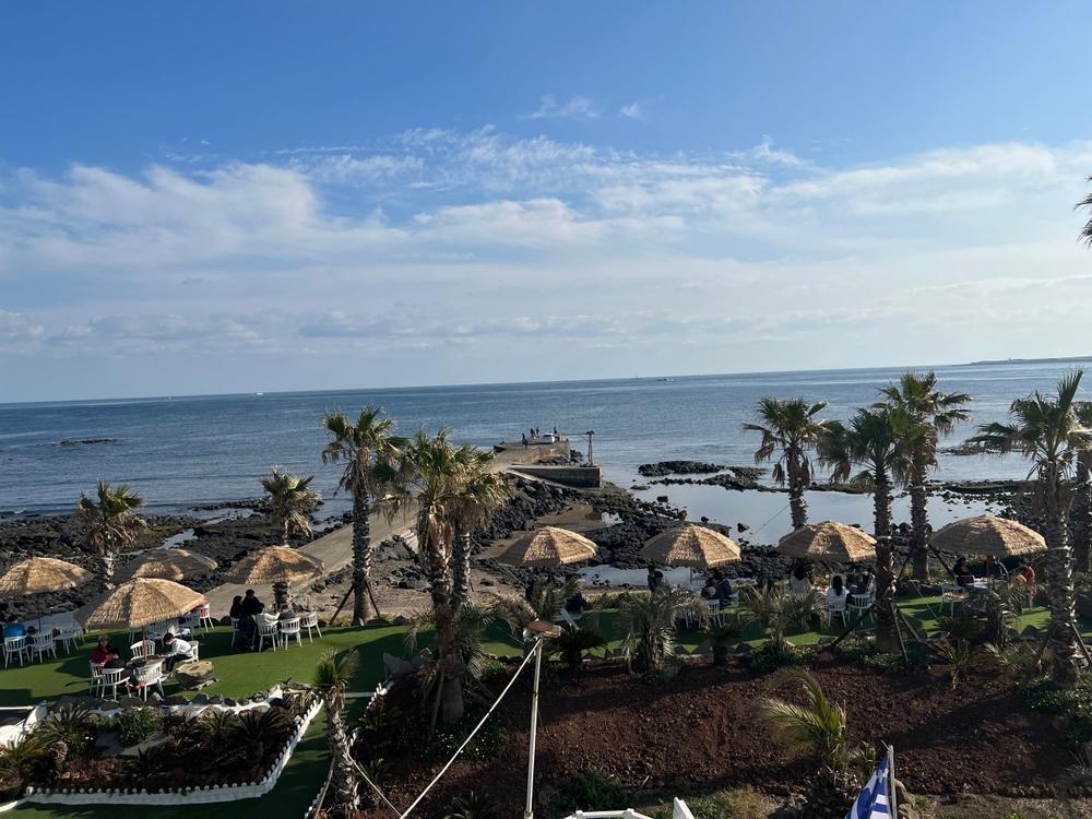 제주도 서귀포 애견동반 오션뷰 감성 카페 추천 리스트 TOP 5