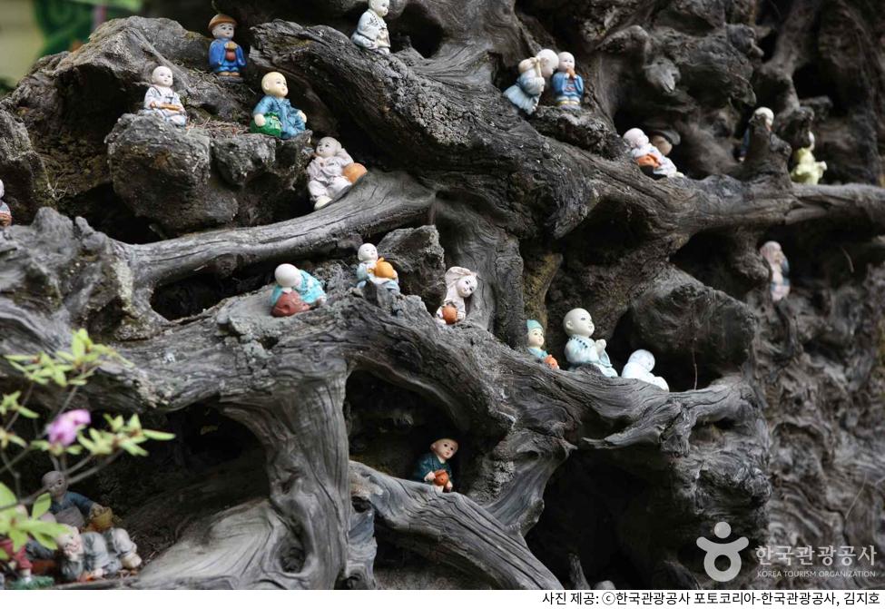 가을 단풍 시즌 용인 가볼만한곳 와우정사 드라이브 코스 추천｜주차장 위치·애견 동반 규정