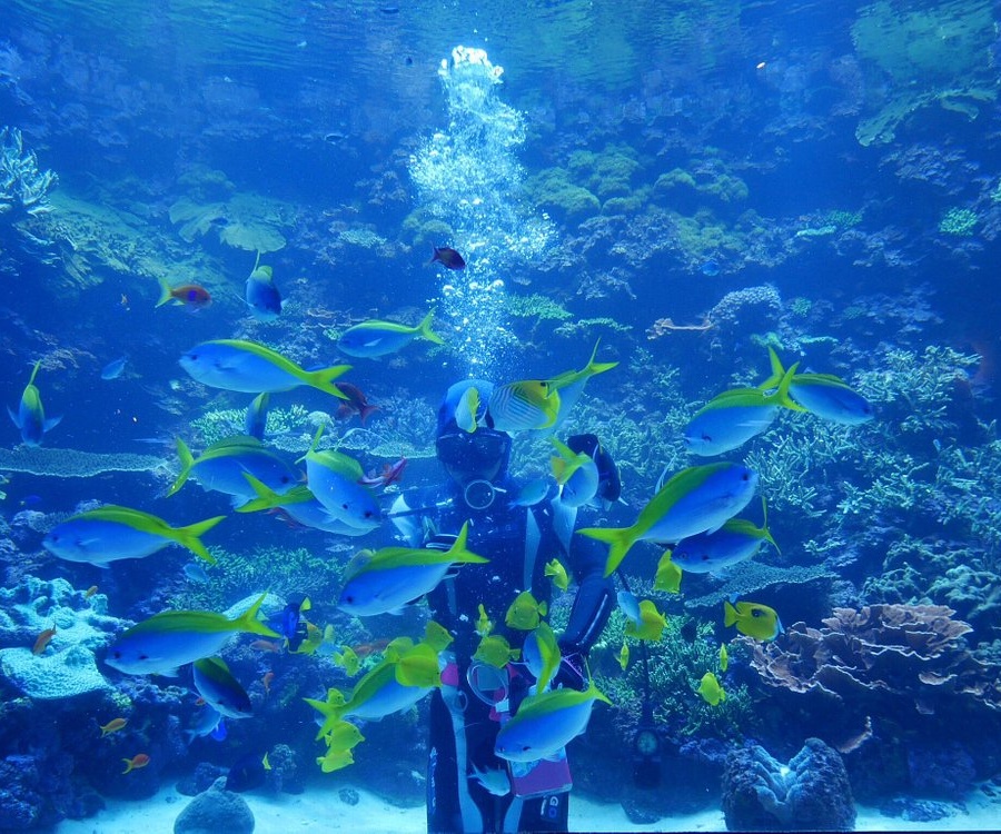 일본 오이타 자유 여행 코스 가볼만한곳 추천 10곳｜필수 관광 명소 정리