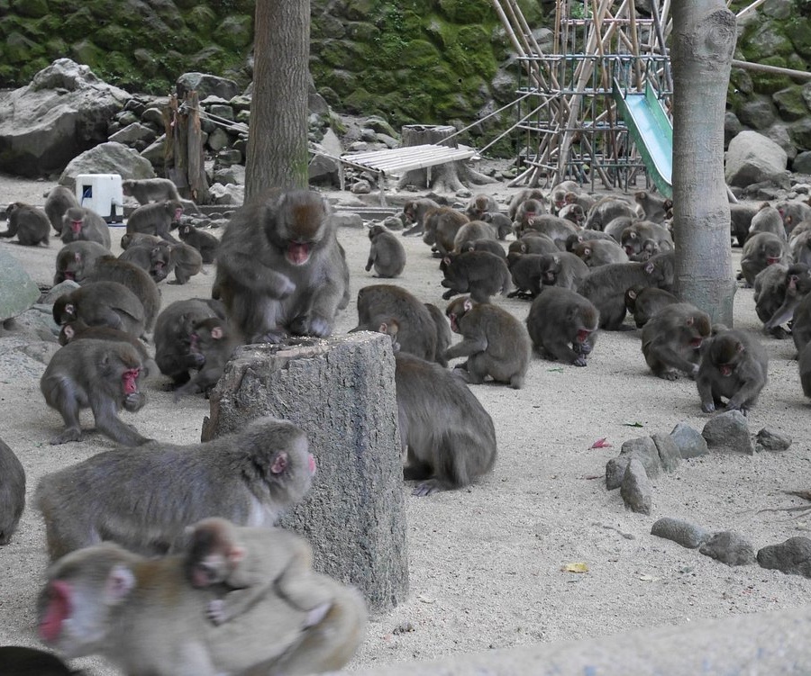 일본 오이타 자유 여행 코스 가볼만한곳 추천 10곳｜필수 관광 명소 정리