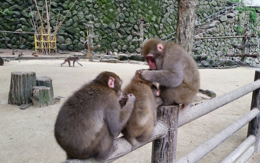 일본 오이타 자유 여행 코스 가볼만한곳 추천 10곳｜필수 관광 명소 정리