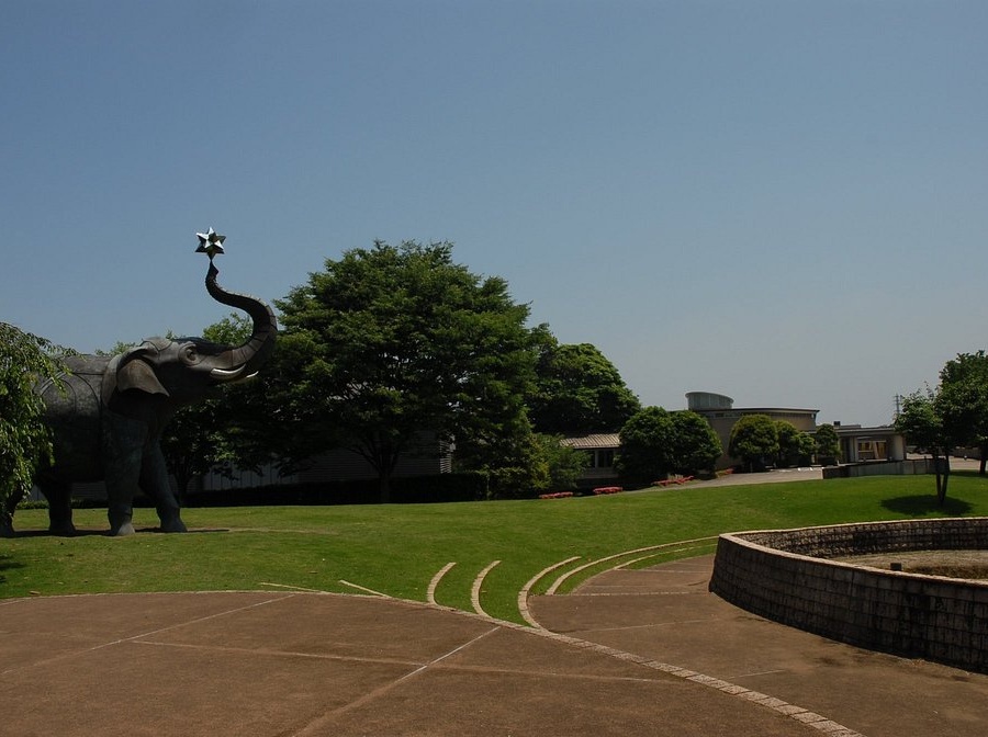일본 오이타 자유 여행 코스 가볼만한곳 추천 10곳｜필수 관광 명소 정리