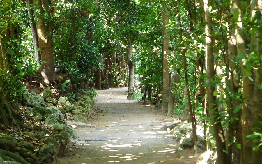 일본 오키나와 여행 코스 가볼만한곳 추천 10곳｜인기 관광 명소 힐링 스팟 리스트