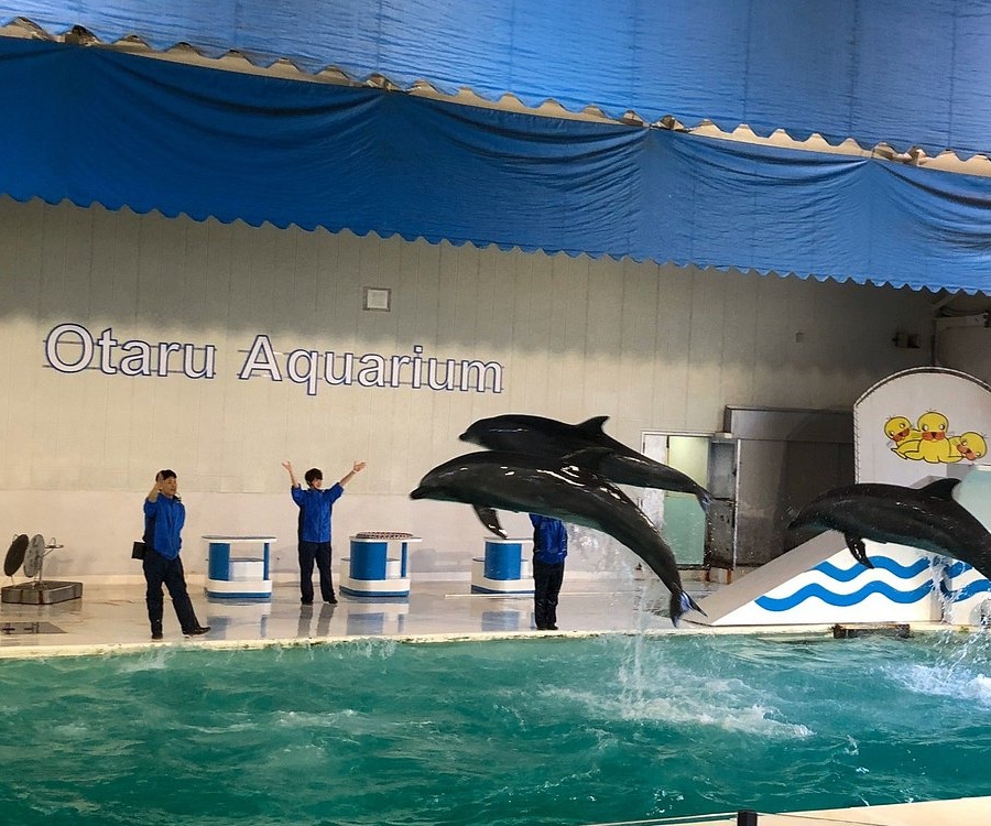 일본 오타루 여행 코스 완벽 정리｜감성 소도시 명소 가볼만한곳 추천 베스트 10