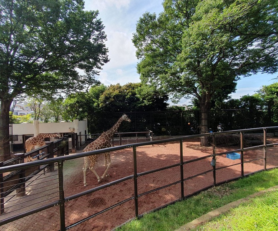 일본 요코하마 여행 가볼만한곳 베스트 10｜인스타 감성 포토존부터 사진 명소 코스 추천 리스트