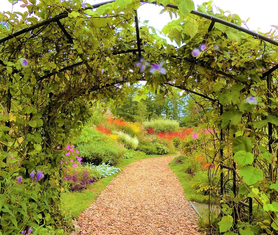 일본 후라노 여행 코스 가볼만한곳 베스트 9｜감성 힐링 추천 명소 리스트