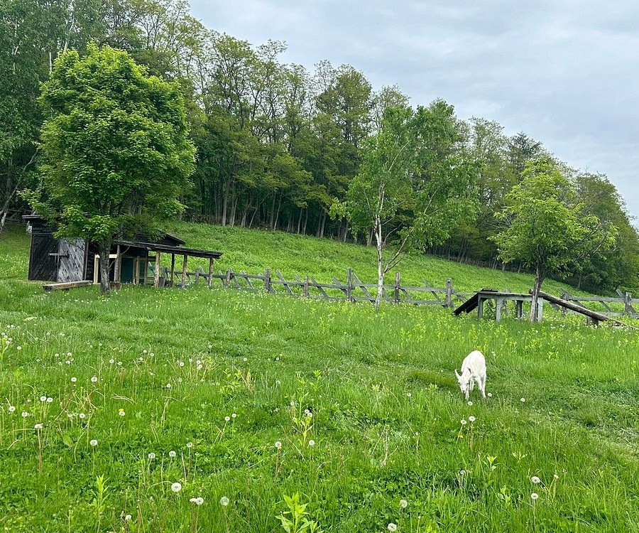 일본 후라노 여행 코스 가볼만한곳 베스트 9｜감성 힐링 추천 명소 리스트