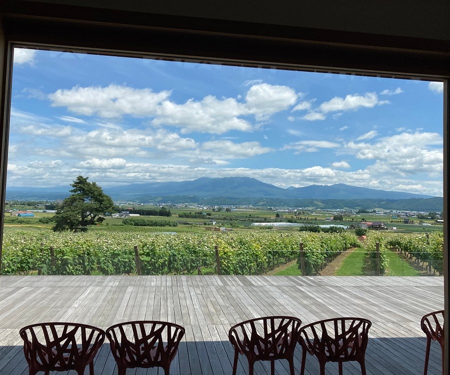 일본 후라노 여행 코스 가볼만한곳 베스트 9｜감성 힐링 추천 명소 리스트