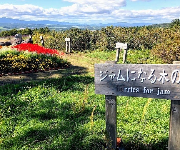 일본 후라노 여행 코스 가볼만한곳 베스트 9｜감성 힐링 추천 명소 리스트