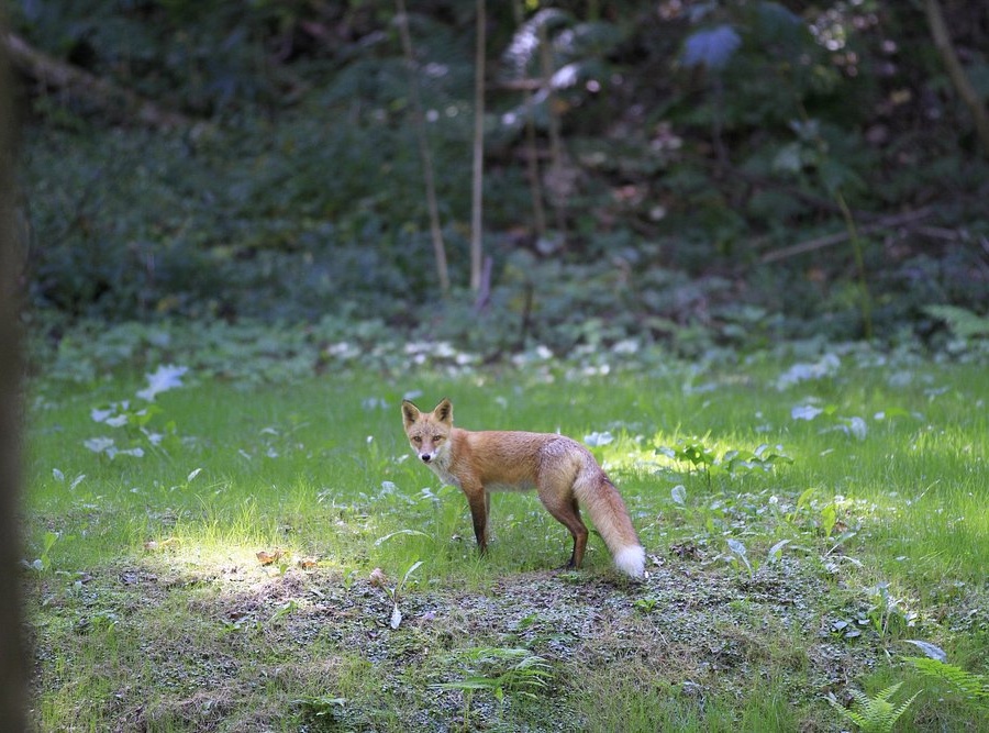 일본 후라노 여행 코스 가볼만한곳 베스트 9｜감성 힐링 추천 명소 리스트