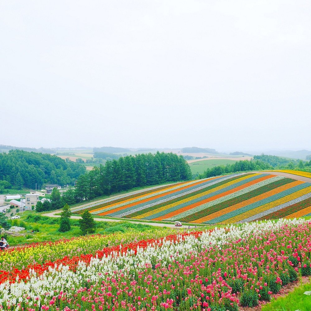 일본 후라노 여행 코스 가볼만한곳 베스트 9｜감성 힐링 추천 명소 리스트