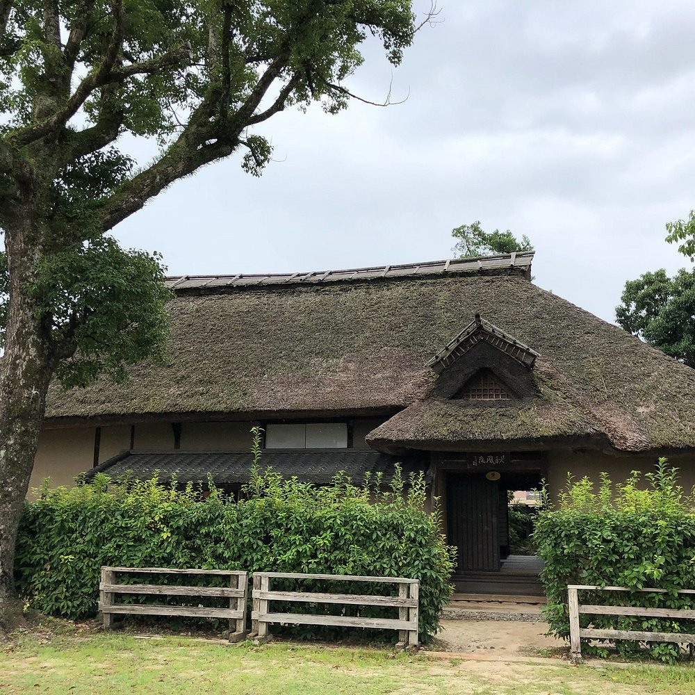 일본 히타 여행 코스 추천｜필수 명소 가볼만한곳 베스트 TOP 10