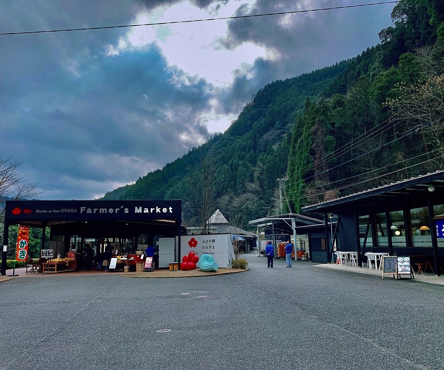 일본 히타 여행 코스 추천｜필수 명소 가볼만한곳 베스트 TOP 10