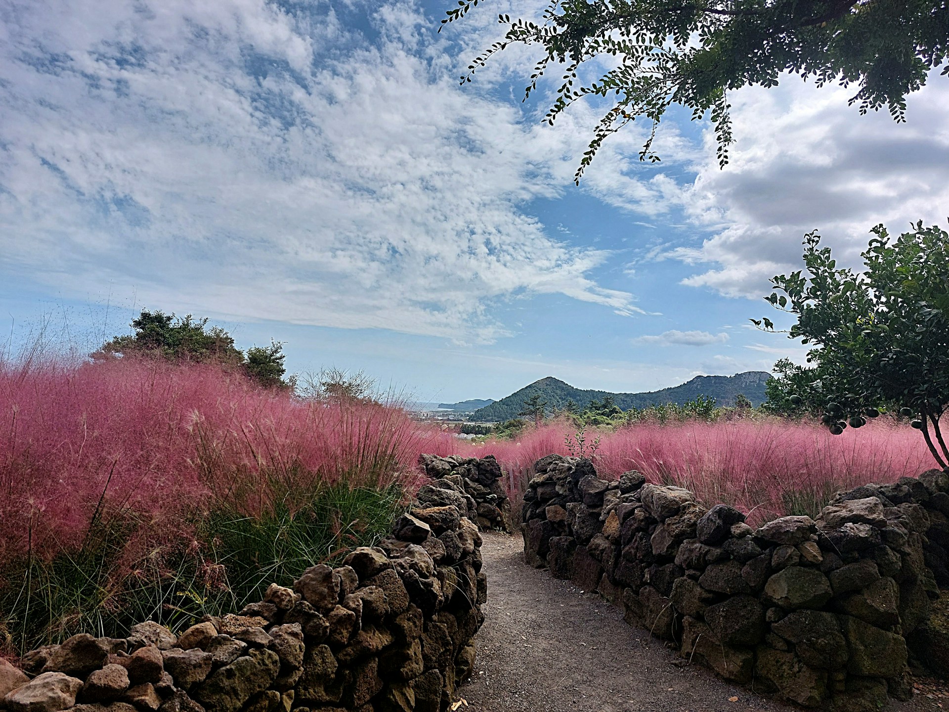 제주도 자유여행 2인 3박 4일 계획 시 경비 비용 계산법과 렌트·숙소 선택 팁 정리
