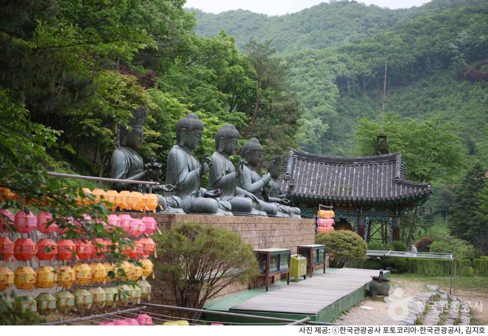 가을 단풍 시즌 용인 가볼만한곳 와우정사 드라이브 코스 추천｜주차장 위치·애견 동반 규정