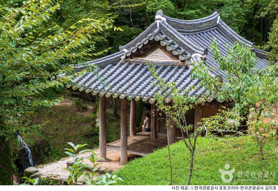 담양 여행 필수 코스 소쇄원 단풍 & 제월당｜애견동반 가능 여부, 방문 시간, 날씨 체크, 입장료 정보