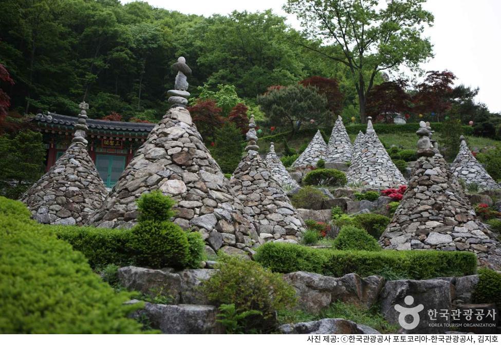 가을 단풍 시즌 용인 가볼만한곳 와우정사 드라이브 코스 추천｜주차장 위치·애견 동반 규정