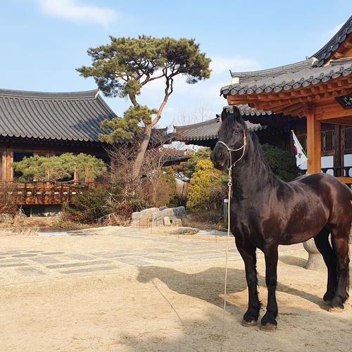 고양 원당 맛집 베스트 추천 리스트 TOP 10