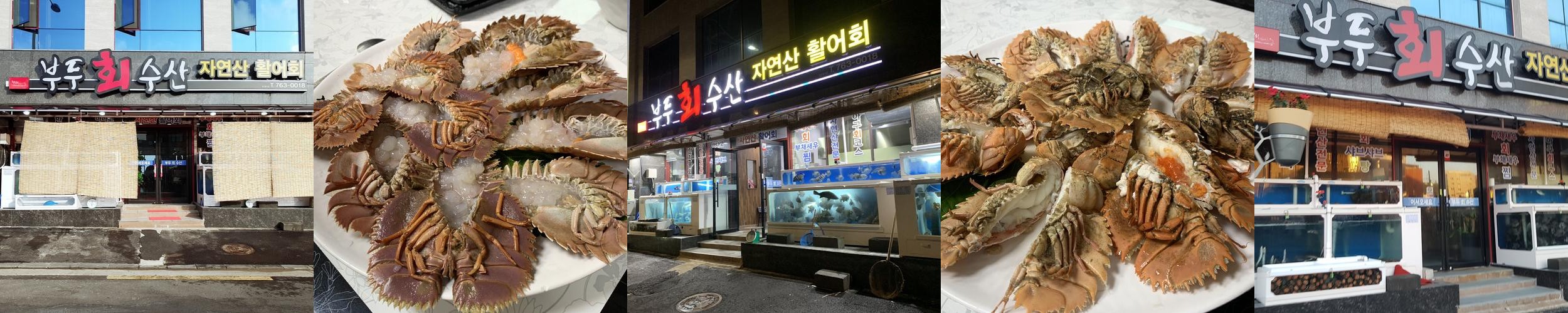 제주 올레시장 횟집 베스트 추천 리스트 TOP 10