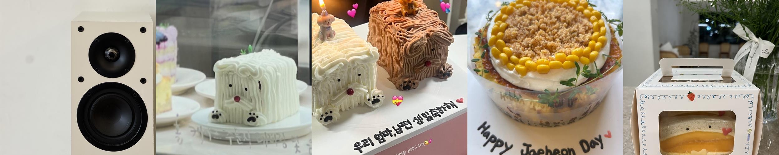 창원 카페 추천 베스트 리스트 TOP 10