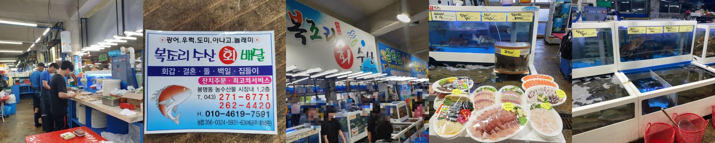 청주 봉명동 횟집 베스트 추천 리스트 TOP 10