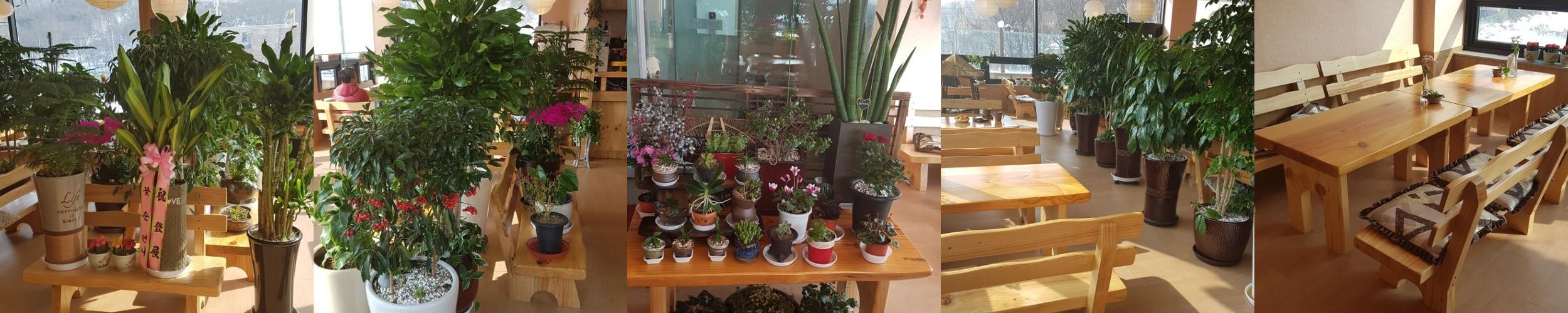 밤일마을 카페 베스트 추천 리스트 TOP 10