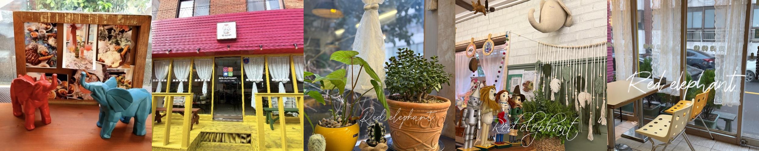 빨강코끼리: 제주도 흑돼지 돈까스 전문점|노형 맛집 추천 빨강코끼리: 제주도 흑돼지 돈까스 전문점