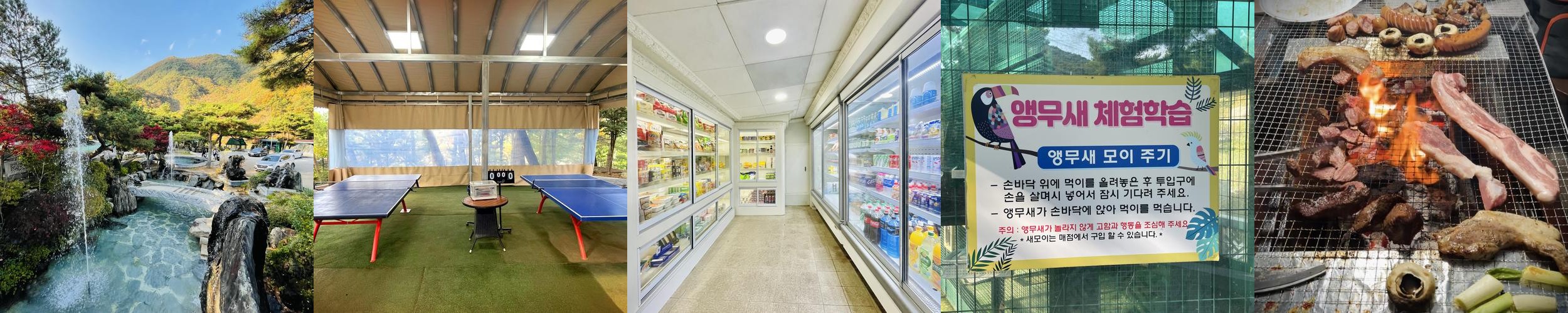 수안보 온천 추천 베스트 리스트 TOP 10