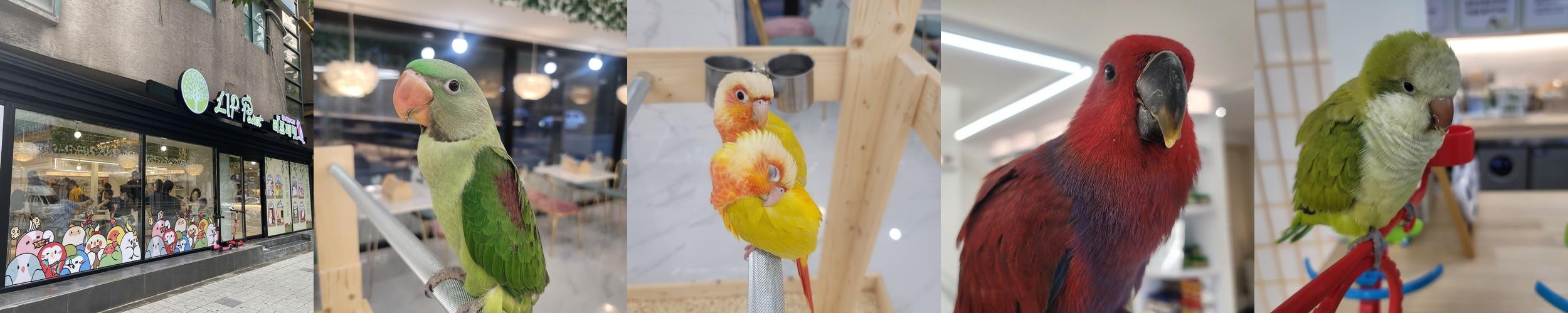 광진구 키즈카페 베스트 추천 리스트 TOP 10