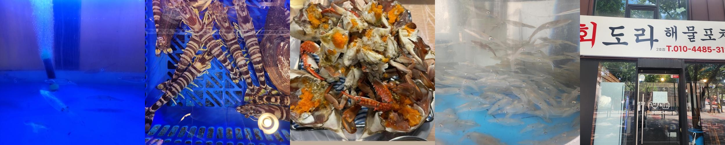 달서구 월성동 맛집 베스트 추천 리스트 TOP 10