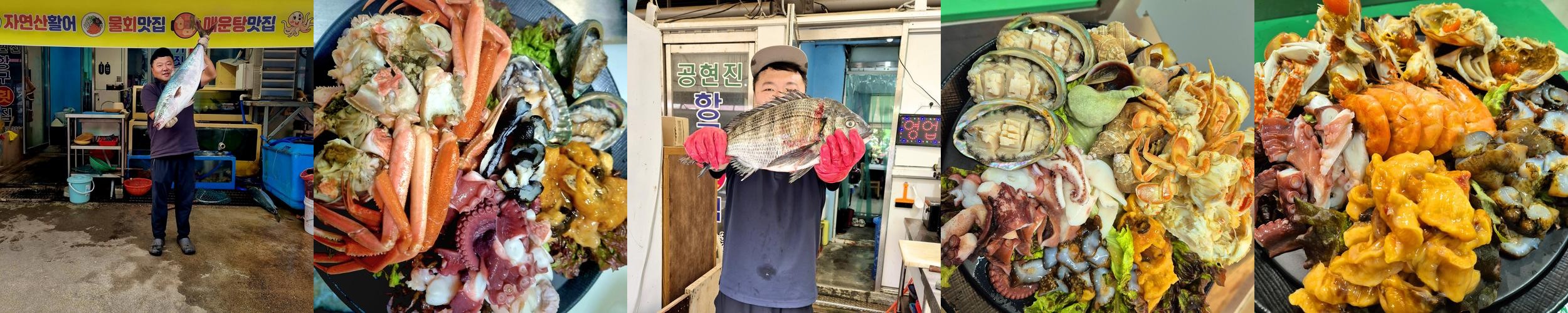 강원도 고성 물회 베스트 추천 리스트 TOP 10