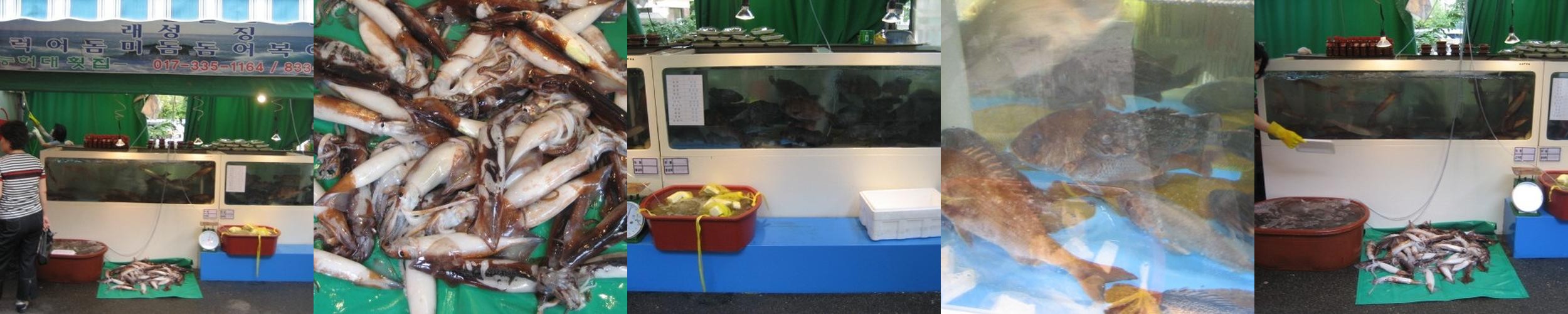 옥련동 횟집 베스트 추천 리스트 TOP 10 옥련동 횟집 베스트 추천 리스트 TOP 10