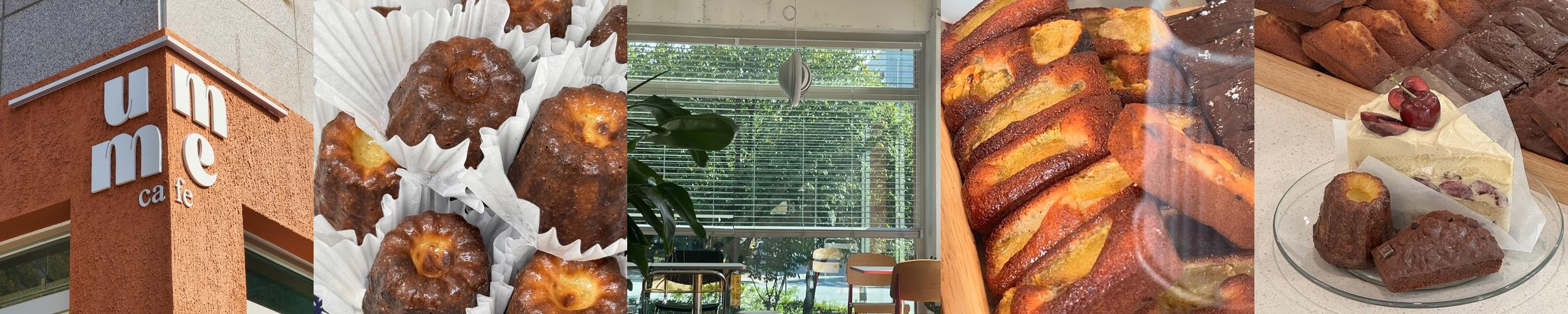 원주 조용한 카페 베스트 추천 리스트 TOP 10