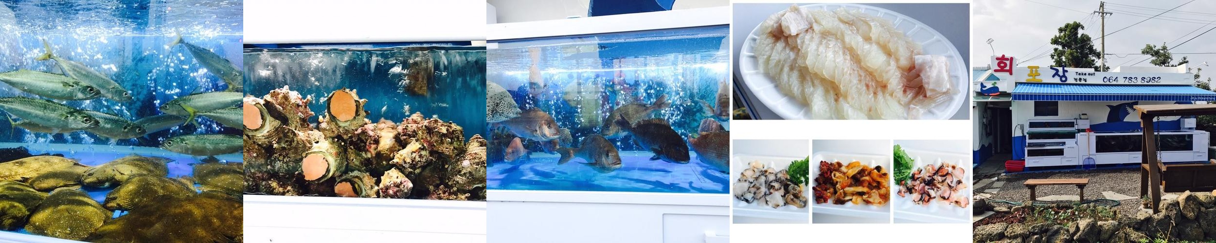 제주 성산 횟집 베스트 추천 리스트 TOP 10