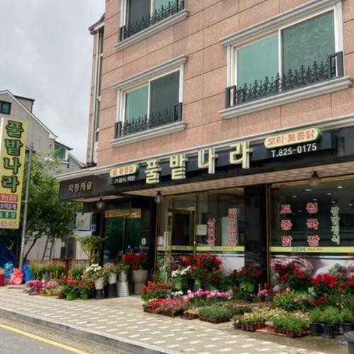 덕명동 맛집 베스트 추천 리스트 TOP 10