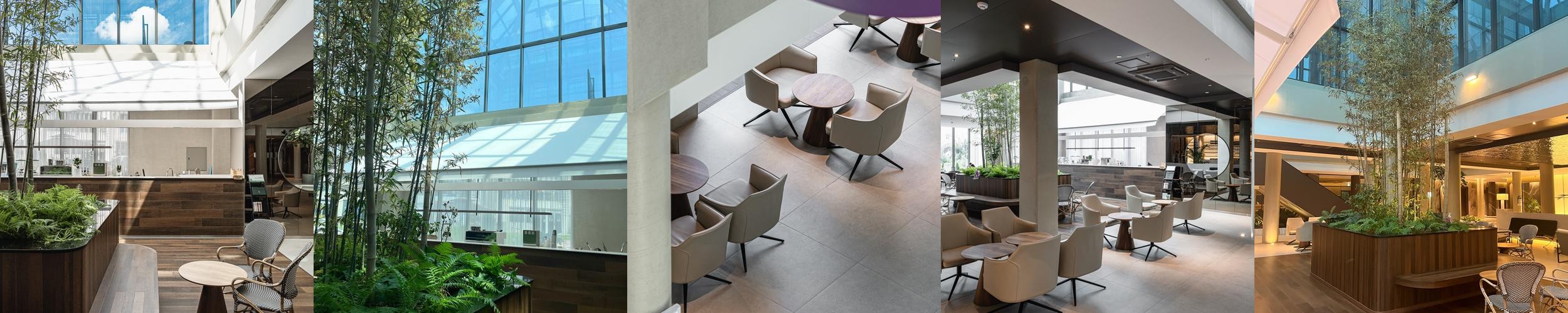 담양 브런치 카페 베스트 추천 리스트 TOP 10