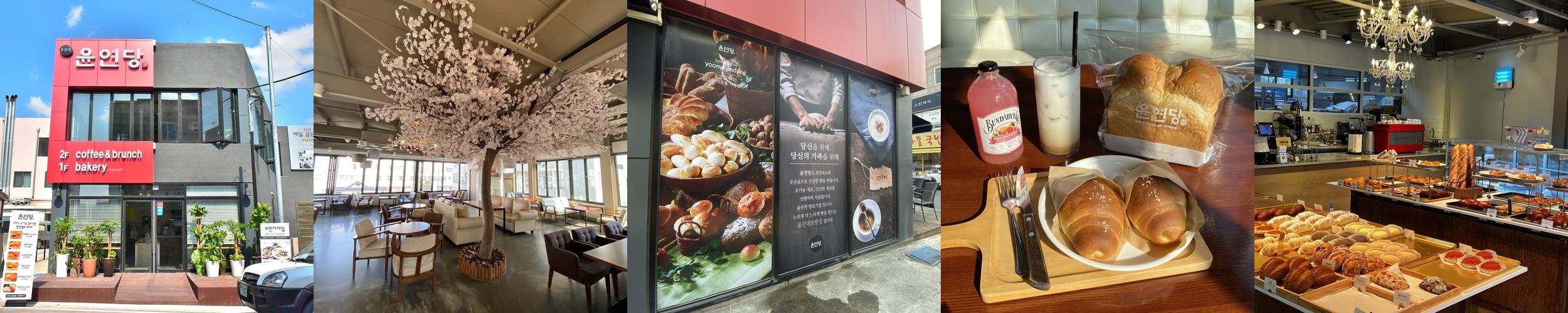 울산 카페 베스트 추천 리스트 TOP 10